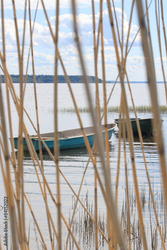 Вид на лодки через тростник