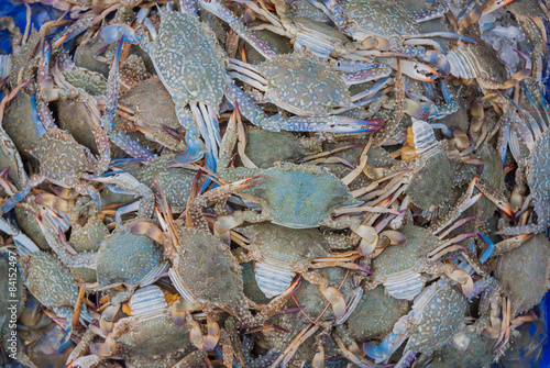 Blue swimming crab on the market,Thailand market.