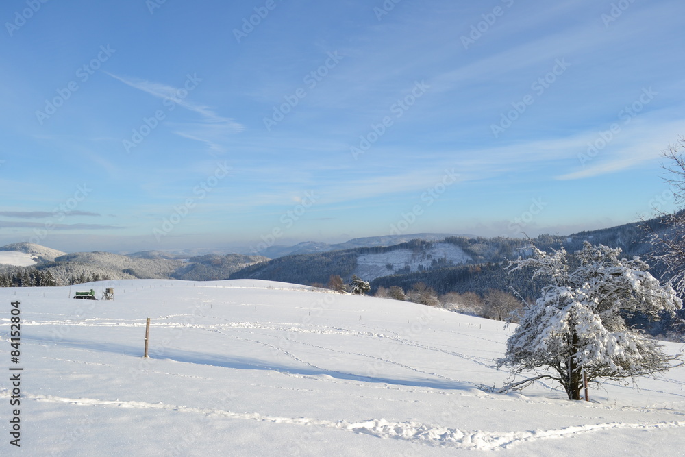 Schneebedeckte Landschaft