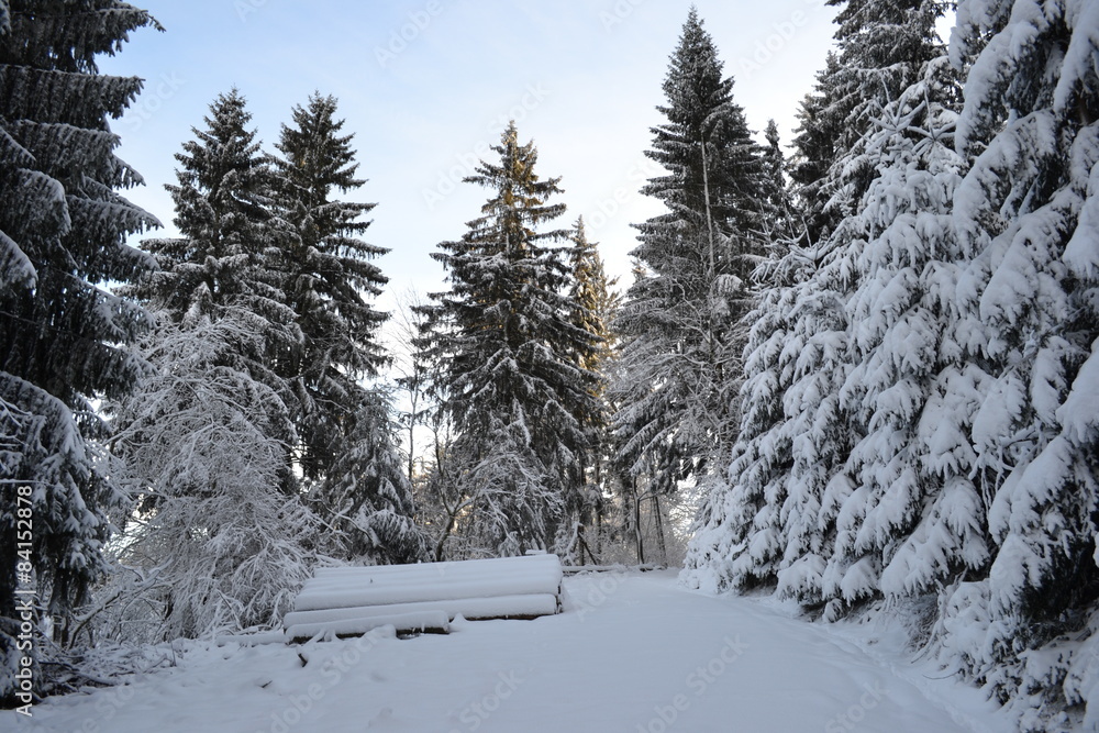 Schneebedeckte Bäume Schneebedeckte Bäume