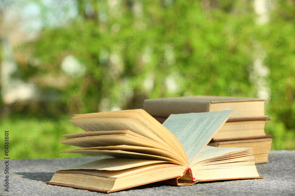 Stack of books outdoors, on blurred background Stack of books outdoors, on blurred background