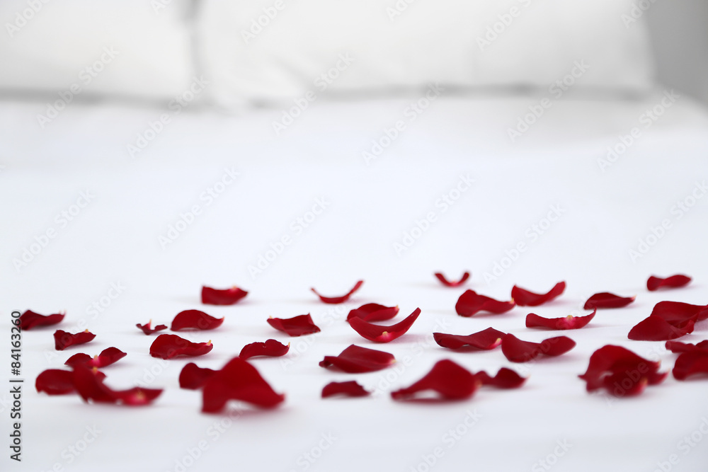 Obraz premium Red petals on bed, close up