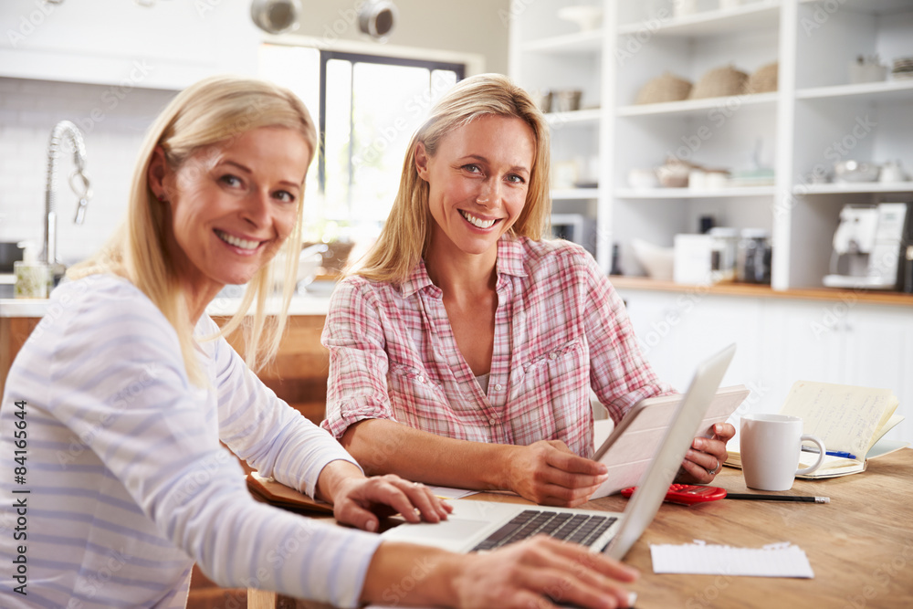 Two women working together at home Two women working together at home