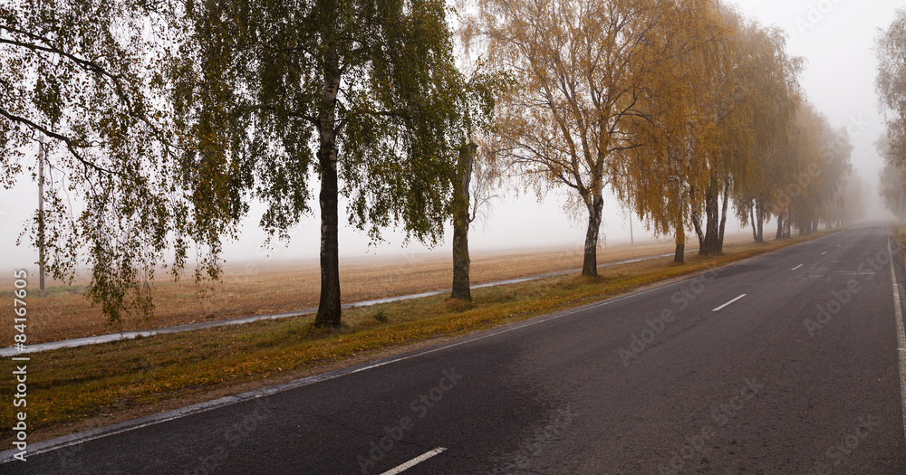 Fototapeta premium the autumn road