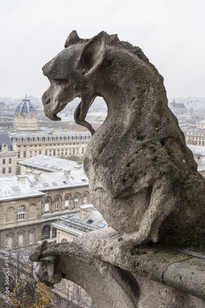 Gargoyle Of Notre Dame Cathedral