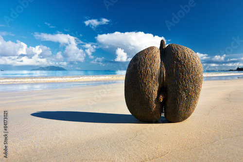 Sea's coconuts (coco de mer) on beach at Seychelles photo