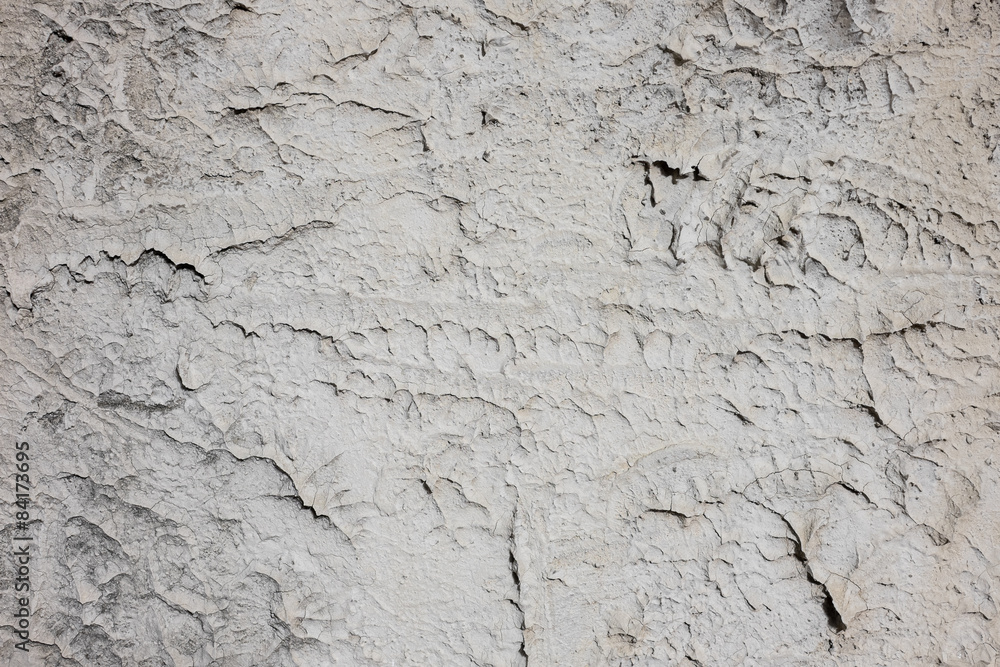 Thorn concrete wall texture