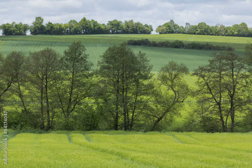 Naklejka premium Spring landscape in Bavaria