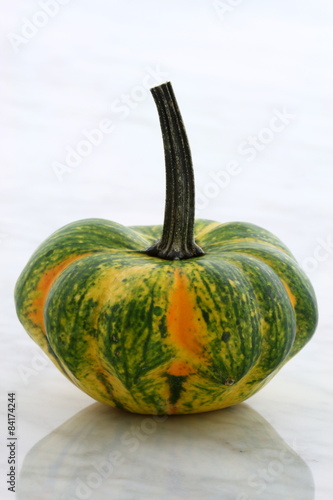 organic summer squash photo