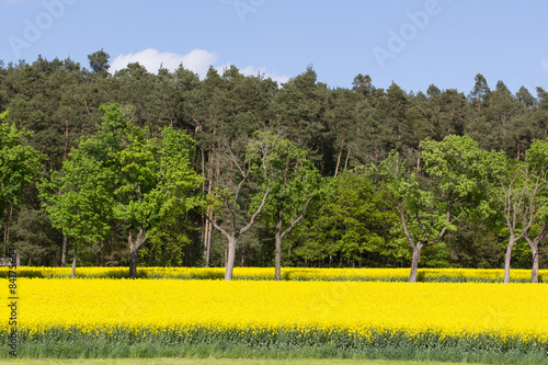 Spring landscape in Bavaria
