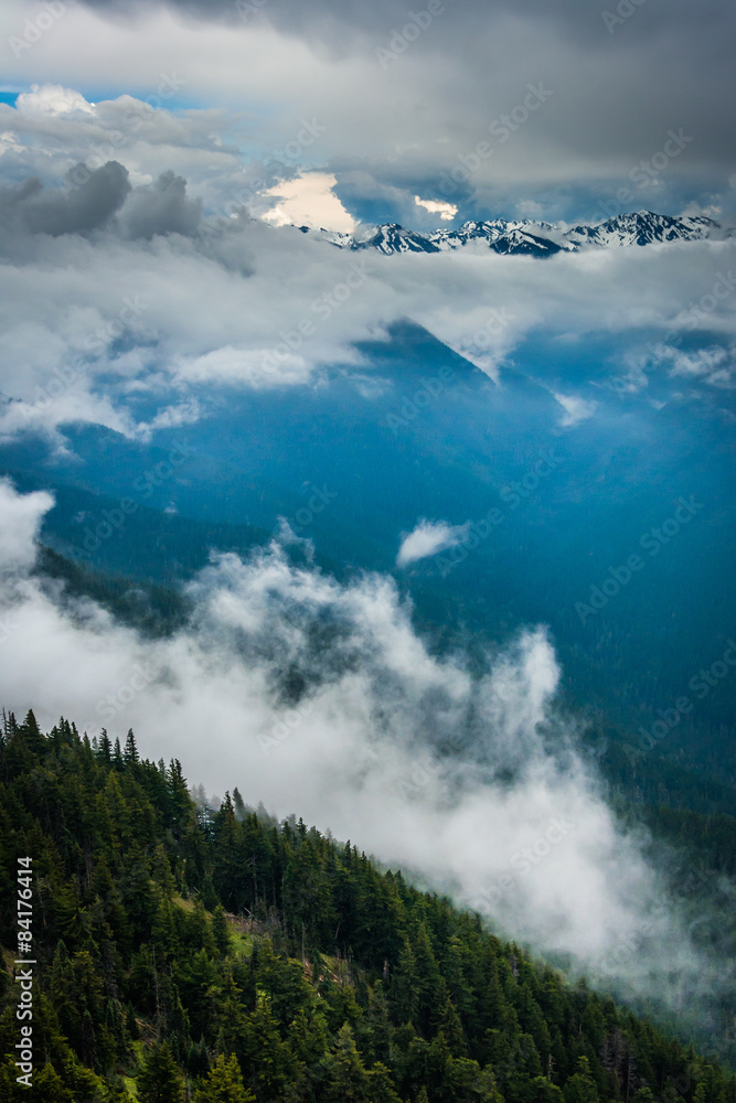 Obraz premium View of mountains and low clouds from Hurricane Ridge, in Olympi