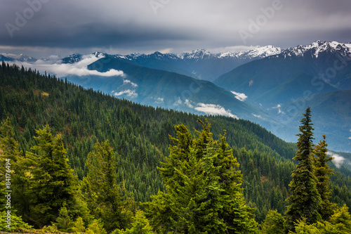 View of the snowy Olympic Mountains from Hurricane Ridge, in Oly