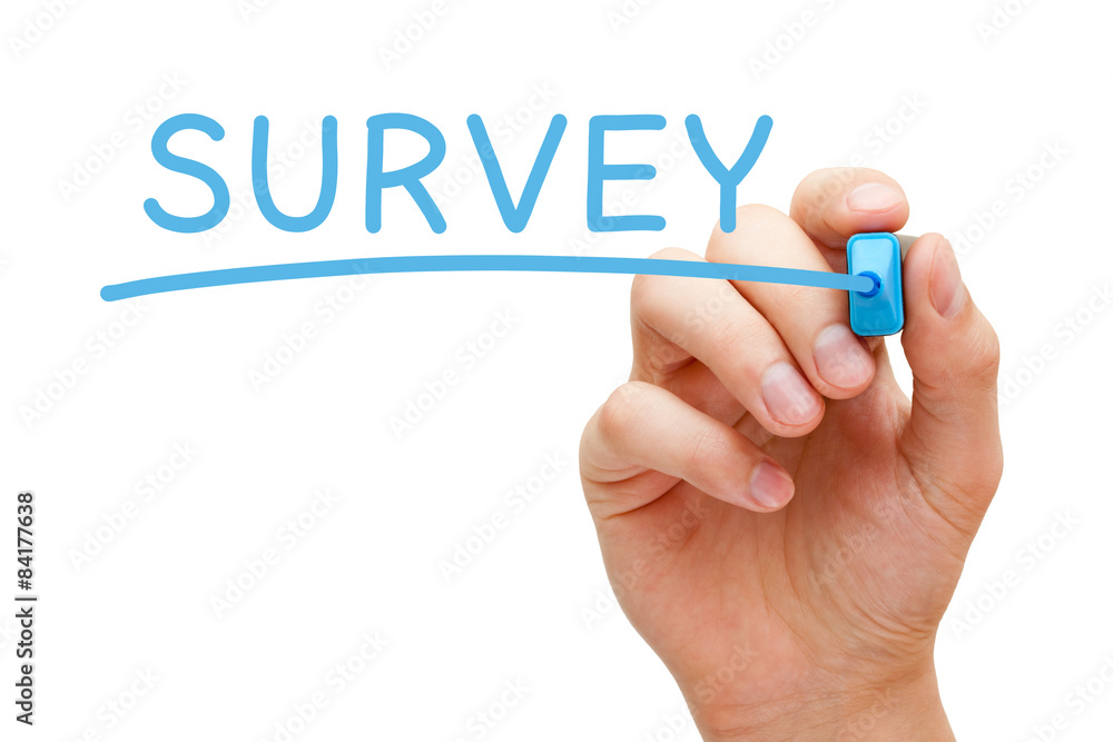 Survey Blue Marker Survey Blue Marker