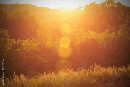 Countryside landscape with sun flare.