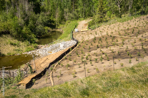 Erosion control on a slope with straw sock catch, silt fence, st