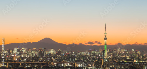Tokyo city view with Tokyo skytree and mountain fuji .