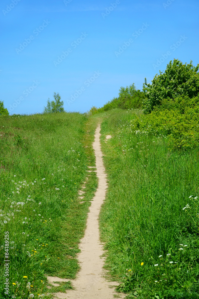 Obraz premium Narrow small path