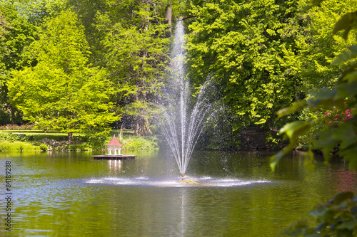 Springtime in the Park