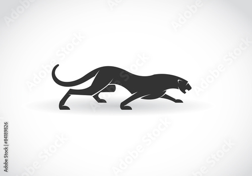 Vector image of an panther  on a white background