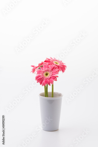 Wallpaper Mural Pink gerbera flower Torontodigital.ca