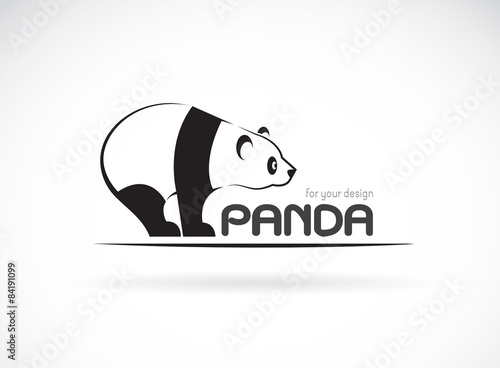 Fototapeta Naklejka Na Ścianę i Meble -  Vector image of an panda design on a white background