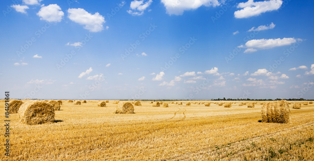Fototapeta premium straw stack 