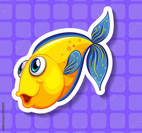Yellow fish