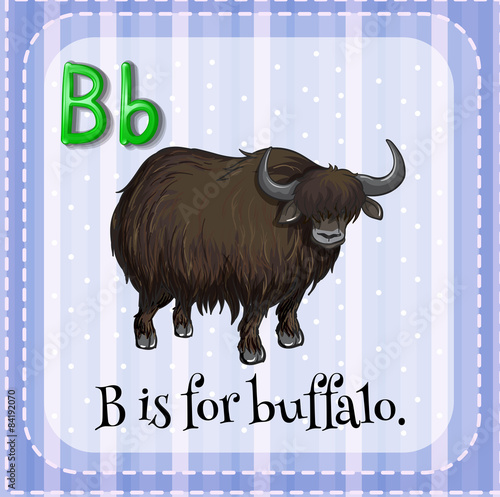 Buffalo