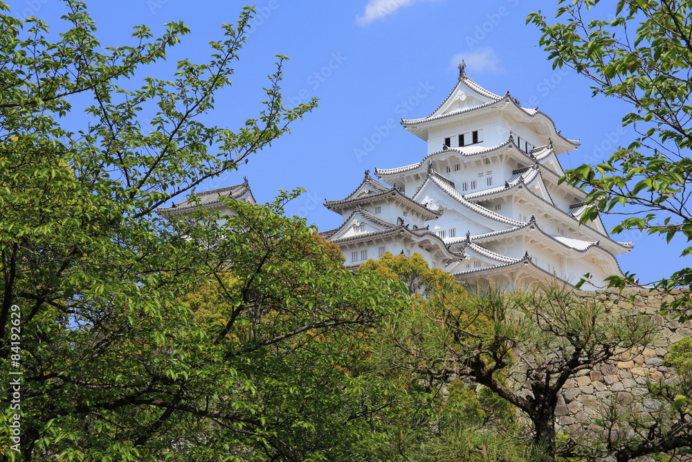 Fototapeta premium Himeji Castle in Japan