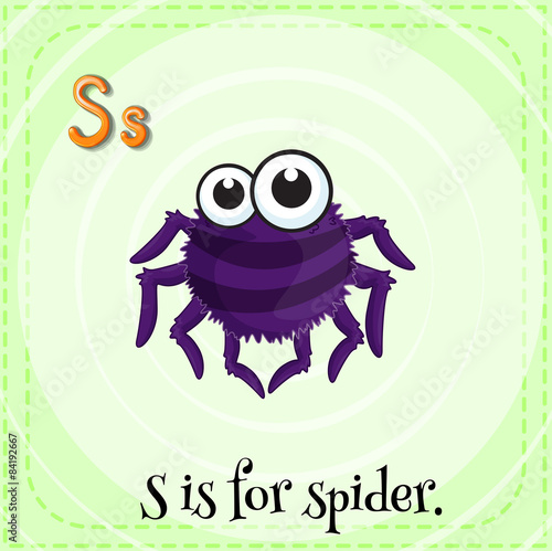 Spider
