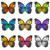 Set of colorful  butterflies
