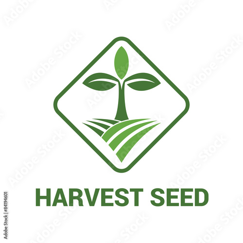Harvest Seed logo icon vector