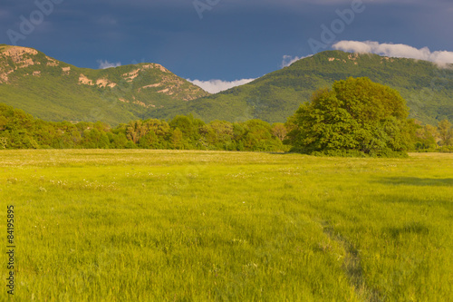 Green meadow in mountain. Composition of nature. © YURII Seleznov