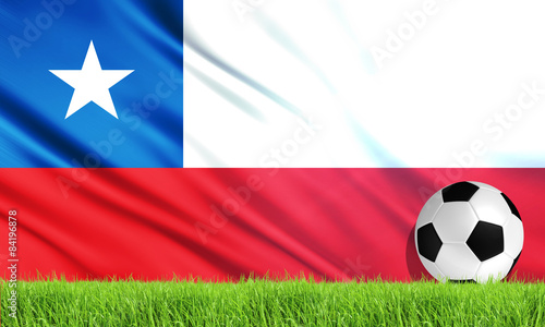 The National Flag of Chile