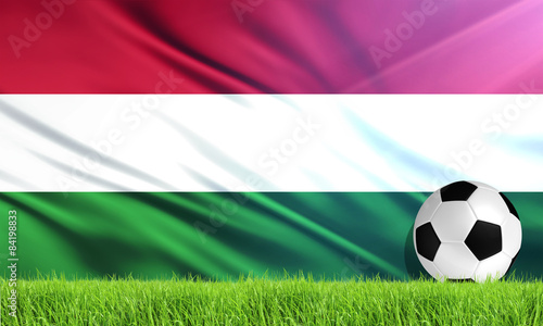 The National Flag of Hungary