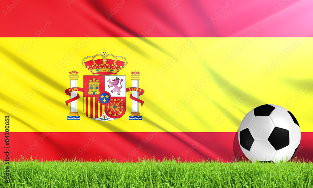 Fototapeta premium The National Flag of Spain