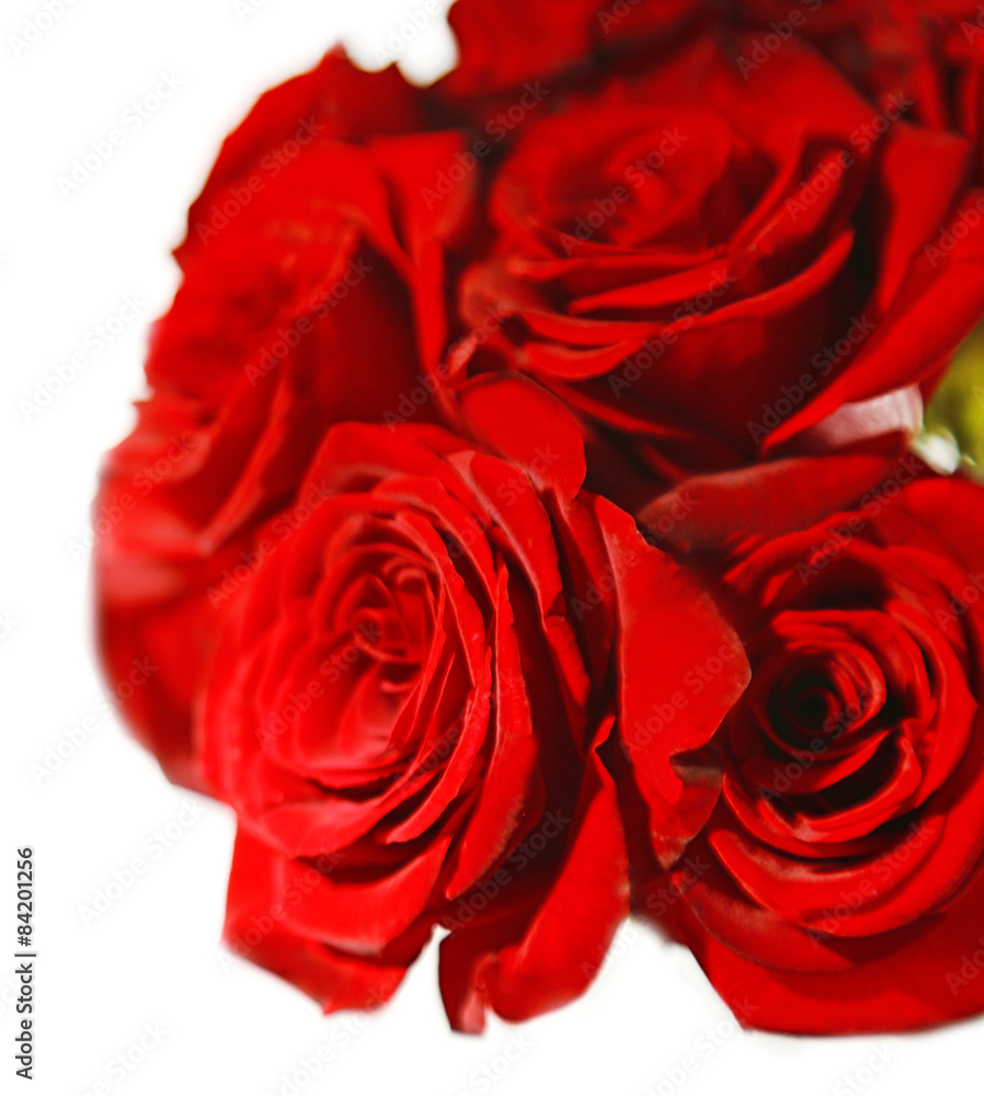 Beautiful red roses, isolated on white Beautiful red roses, isolated on white