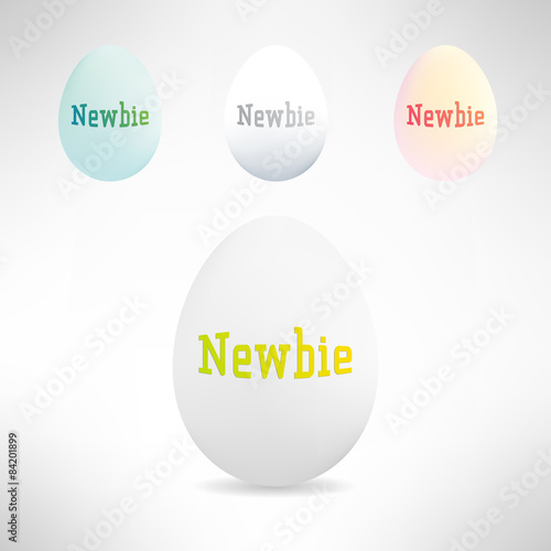 Realistic egg with newbie text on it. Vector