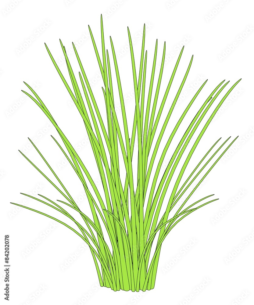 Fototapeta premium cartoon image of aquatic plant