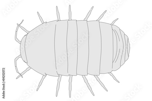 cartoon image of armadillidium vulgare