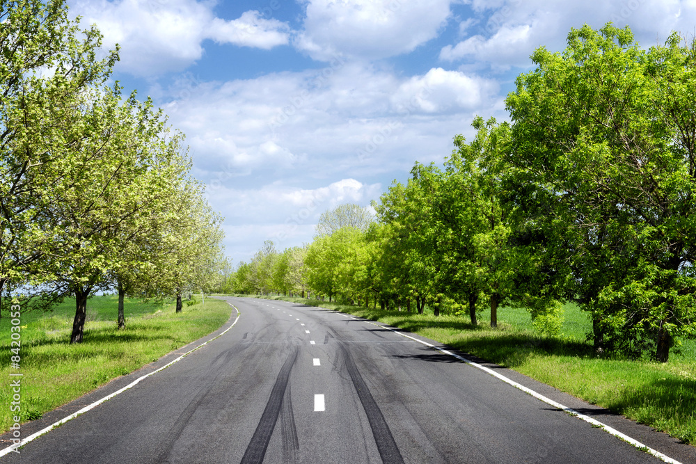 Fototapeta premium Asphalt road through the green field in spring day