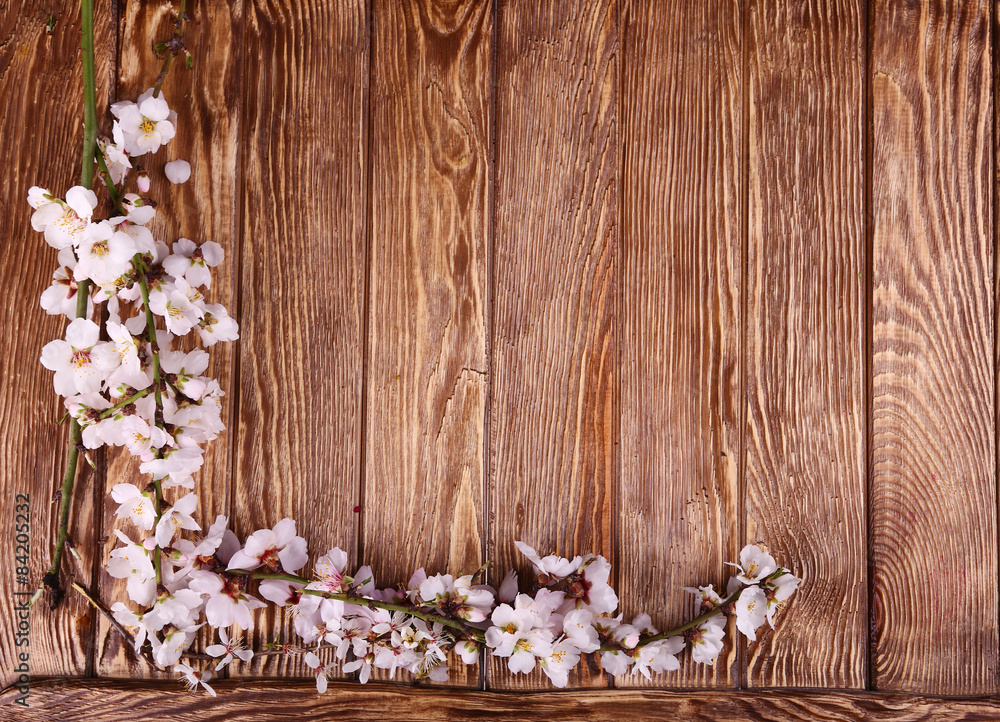 Spring blossom on wood background