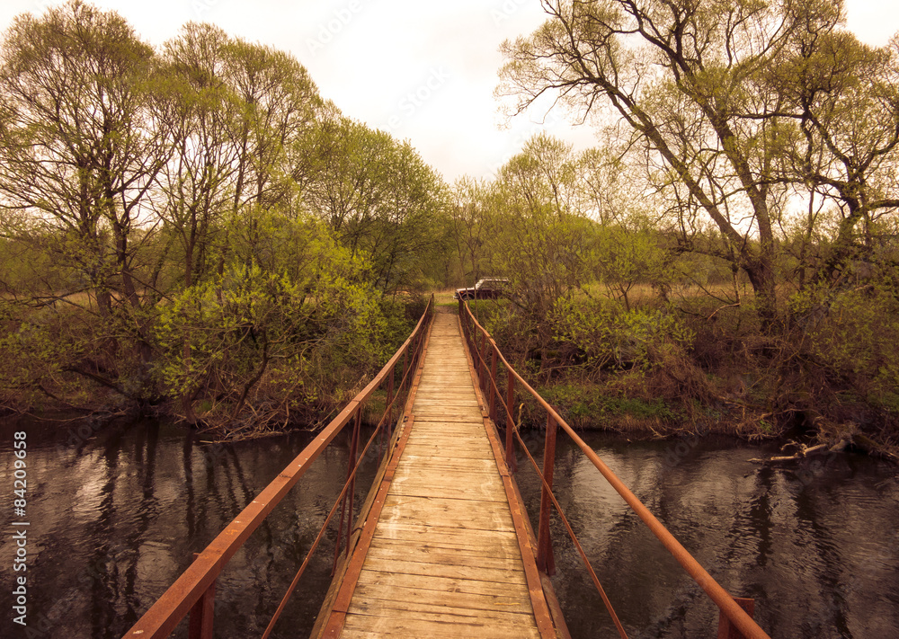 Fototapeta premium footbridge over the black river