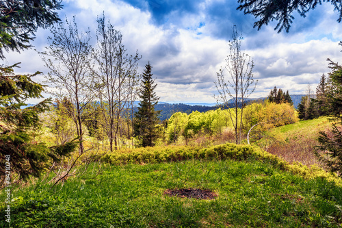 Feldberg Mountain in Spring