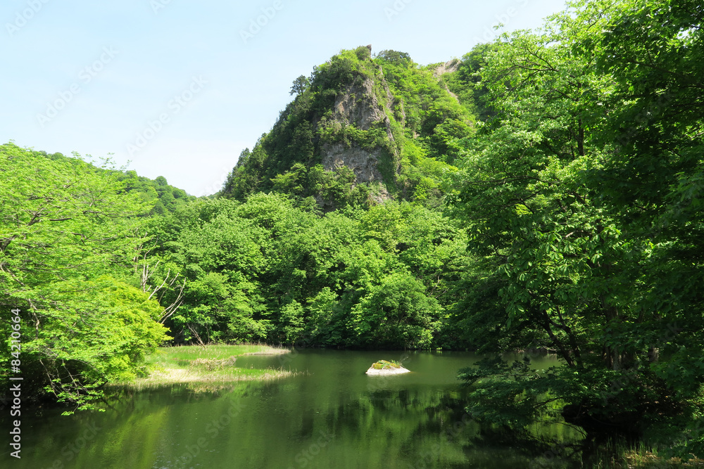 医王山　大池平