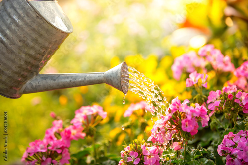 Fototapeta Naklejka Na Ścianę i Meble -  Watering flowers