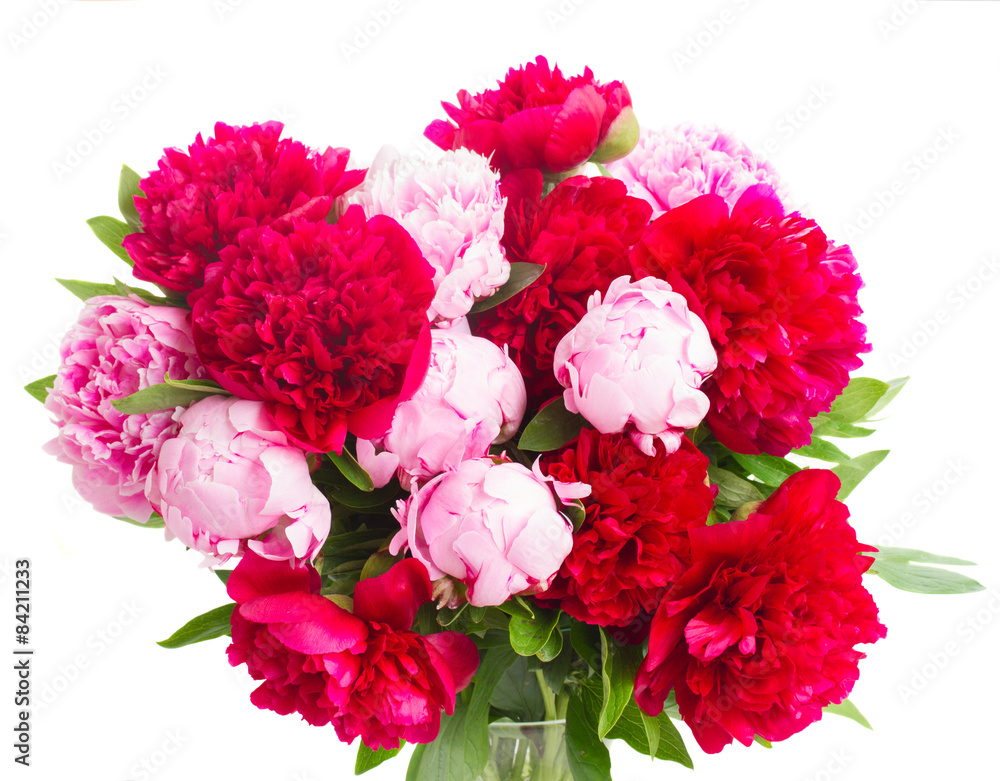pink and red peonies pink and red peonies