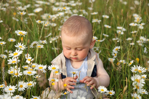 Mały chłopak na łące, ogląda kwiaty.