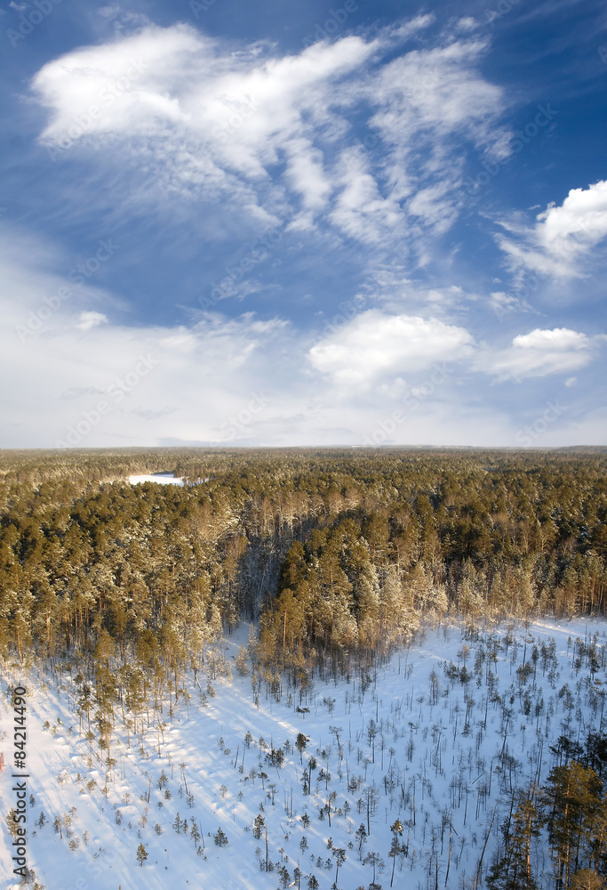 Aerial taiga