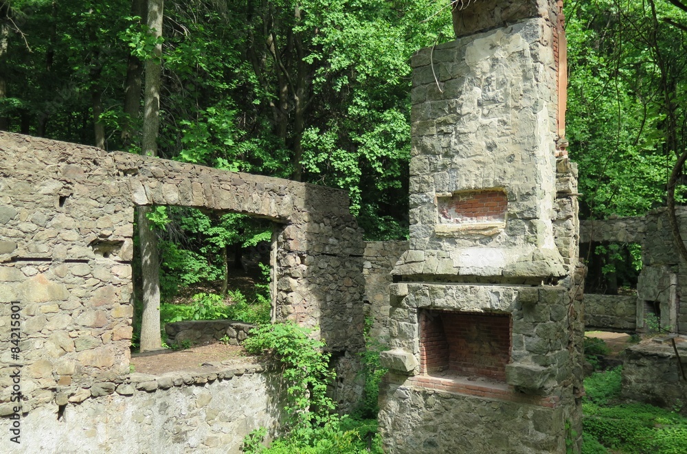Overgrown abandoned stone house with exposed fireplace